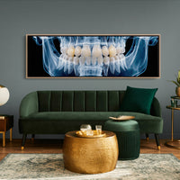 Dental X Ray Close Up