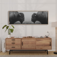 Silent Strength Of The American Bison