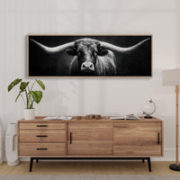Black and White Longhorn Portrait on Dark Background