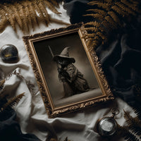 Little Witch in Waiting