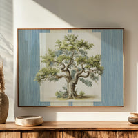 Weathered Olive Tree Study