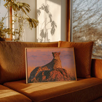 Cheetah, Termite Mound Perch