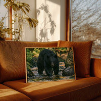 Black Bear at the Water's Edge