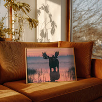 Bull Moose at First Light