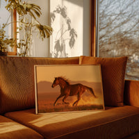 Chestnut Mustang at Golden Hour