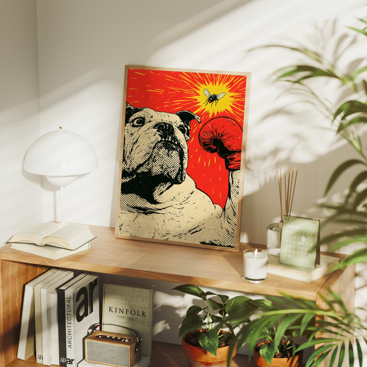 Bulldog Versus Fly Standoff