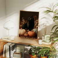 Black Cat and the Heirloom Pumpkins