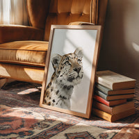 Leopard Looking Skyward