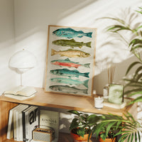 River Run: A Trout and Salmon Chart