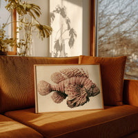 Lionfish in Antique Sepia