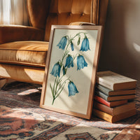 Bell Bottom Blues: A Bluebell Study