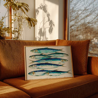 Catch of the Day, Sardine Study