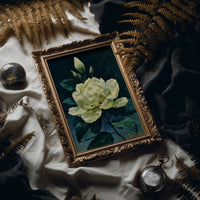 Ivory Bloom in Shadow