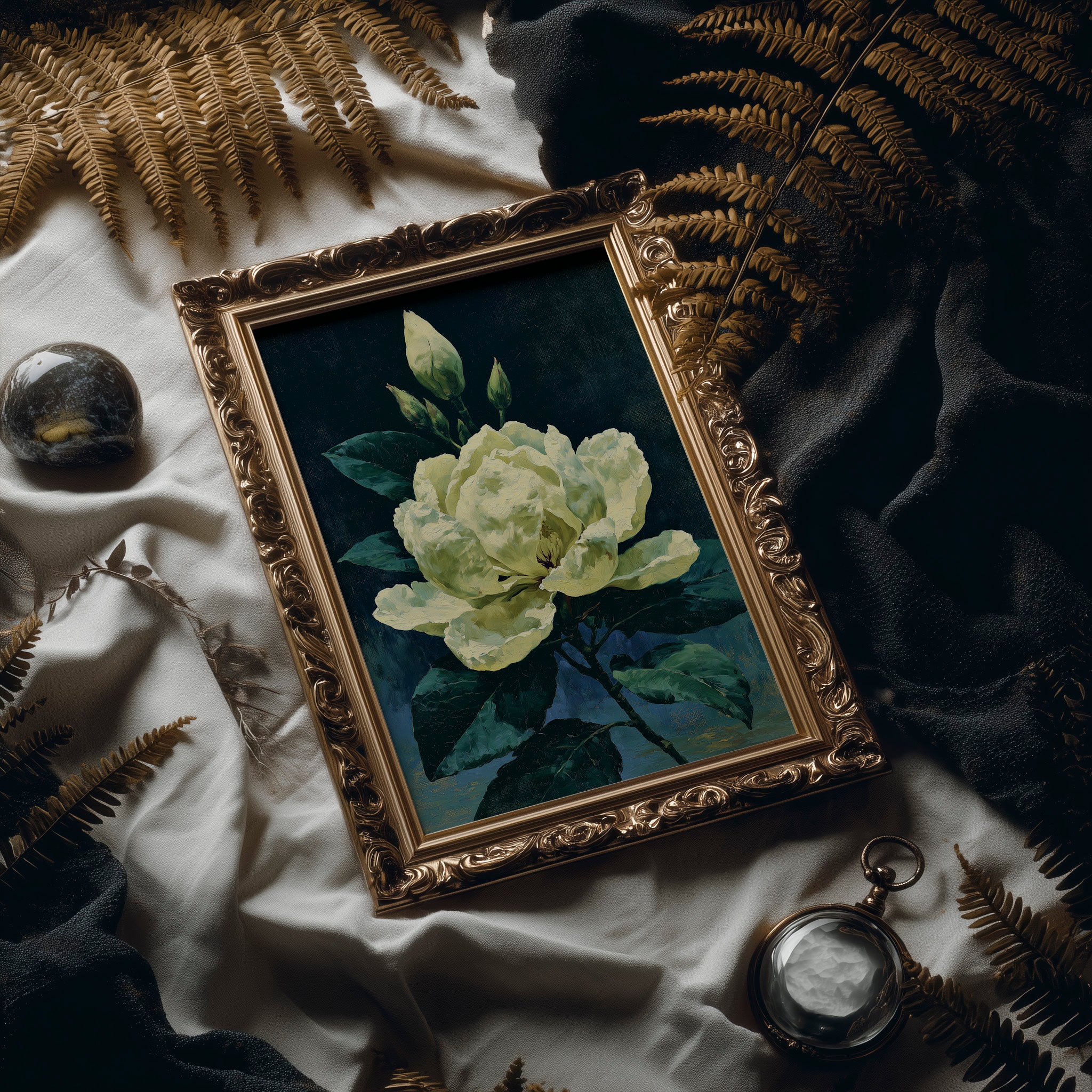 Ivory Bloom in Shadow