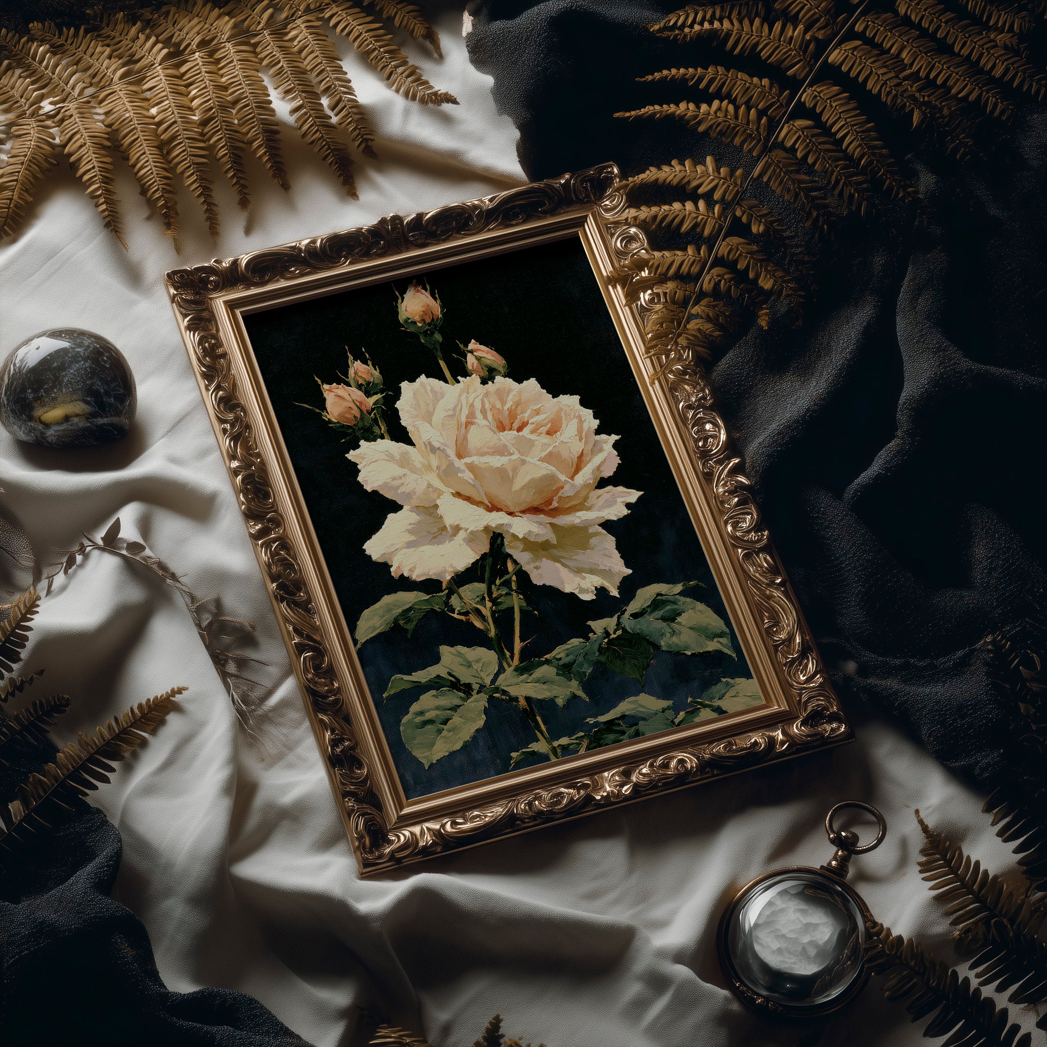 Peach Rose in Midnight