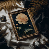 One Peony, No Apologies