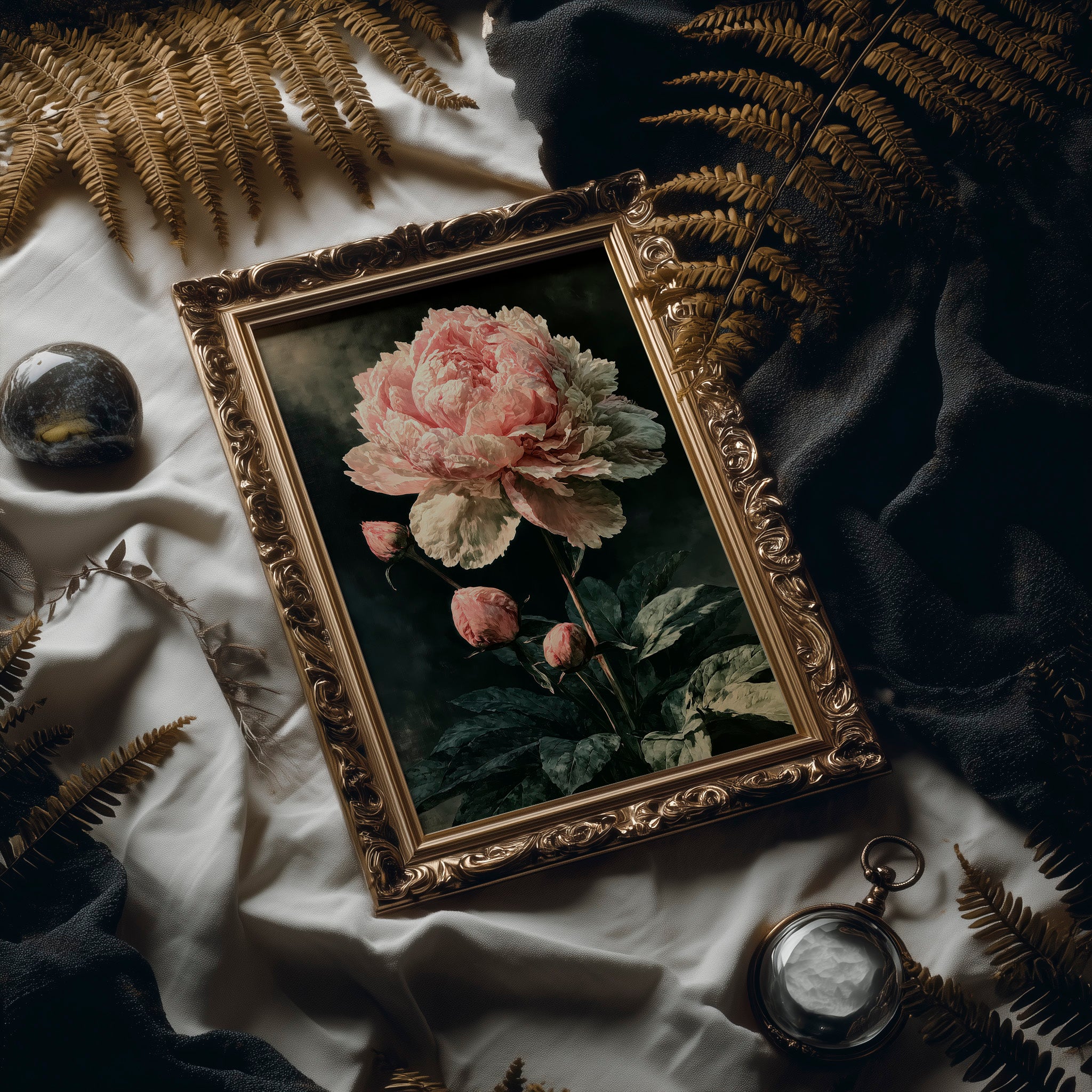 Peony Caught in Corner Light