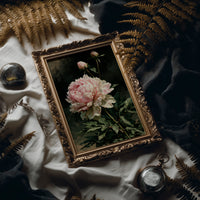 Peony Leans, Two Buds Reach