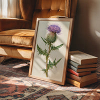 Purple Thistle In Fine Detail