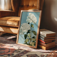 White Hydrangea Sky Bloom