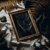 Web in the Dark
