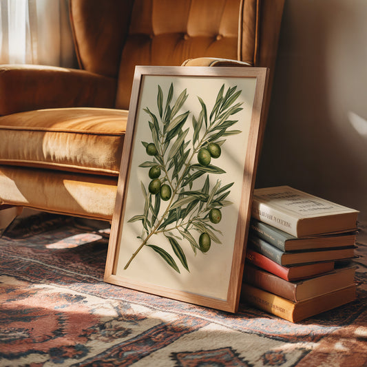 Olive Branch Botanical Study