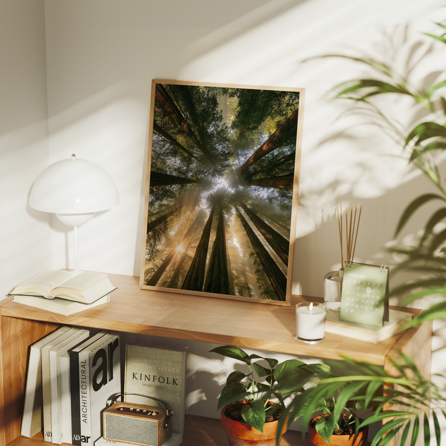 Redwoods and Sunburst