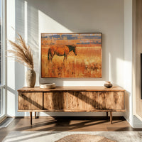 Bay Horse In Amber Grass