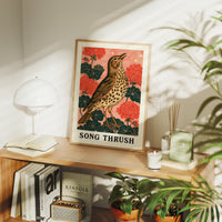 Song Thrush Among Geraniums