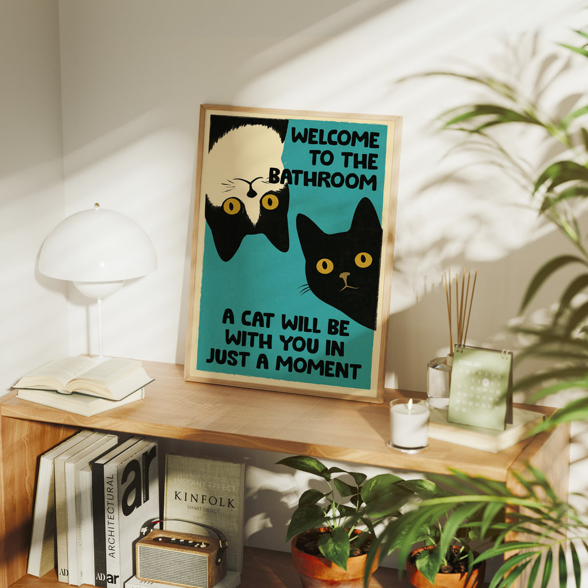 Two Cats, Zero Boundaries