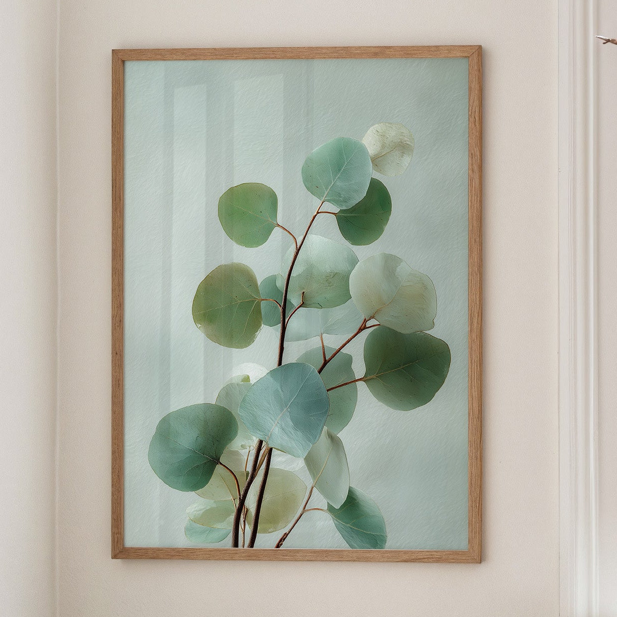 Where Eucalyptus Whispers