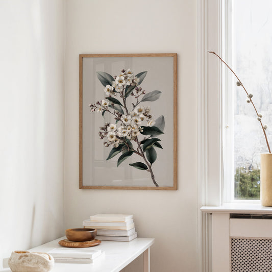Ivory Blossoms On Quiet Branch