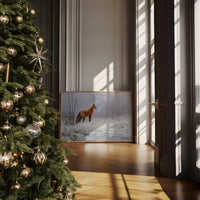 Fox in the Quiet Frost