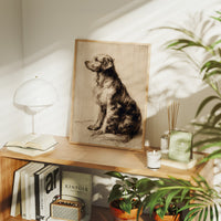 Loyal Companion In Profile