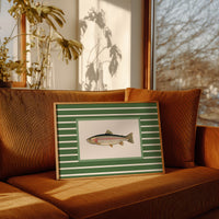 Striped Current Rainbow Catch