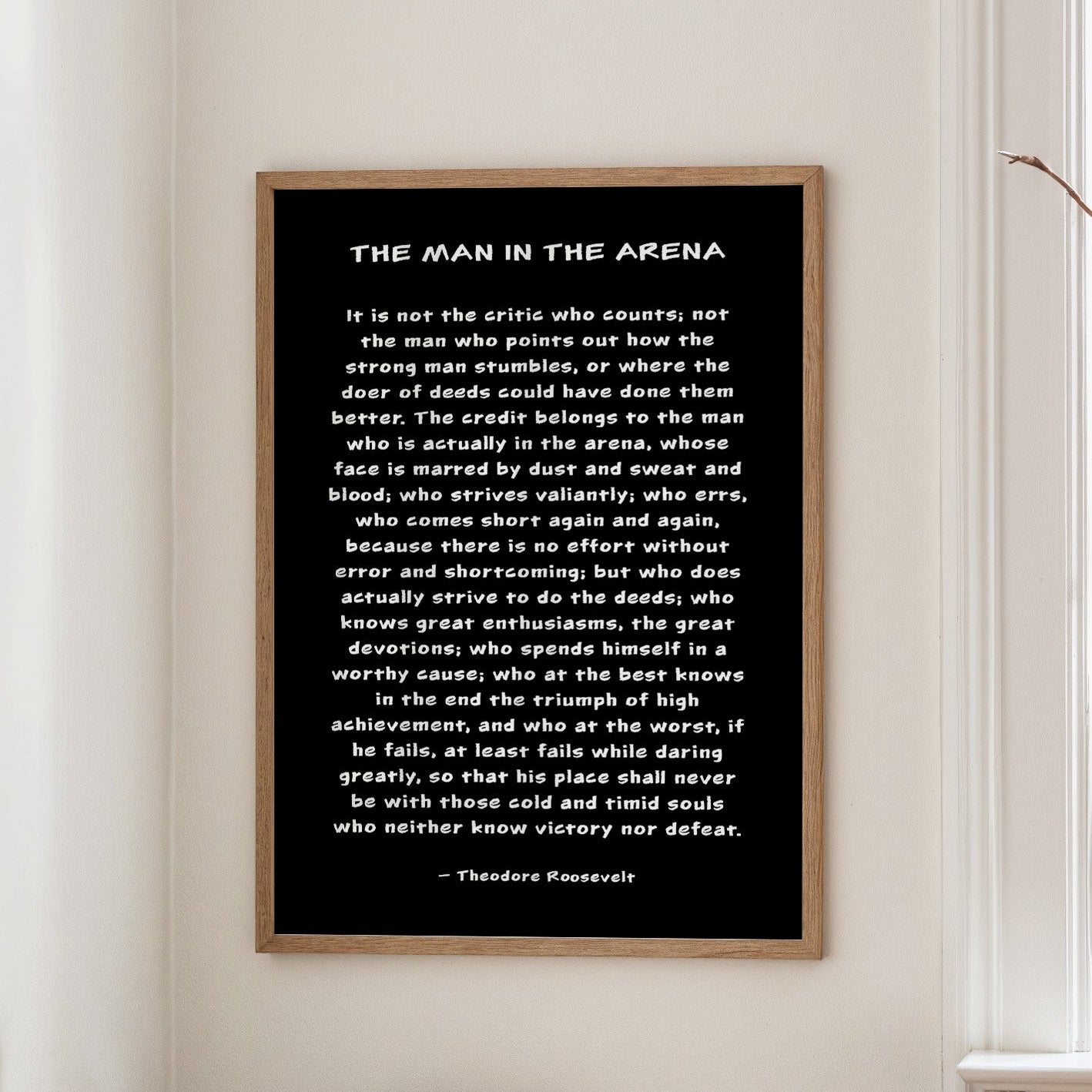 The Man in the Arena Quote