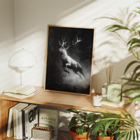 Antlers Through the Midnight Fog