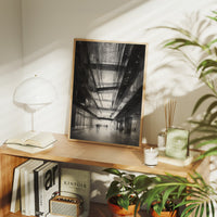 Light Through The Atrium