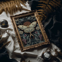 Pale Wings and Quiet Mysteries