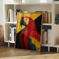 Scarlet Macaw Study