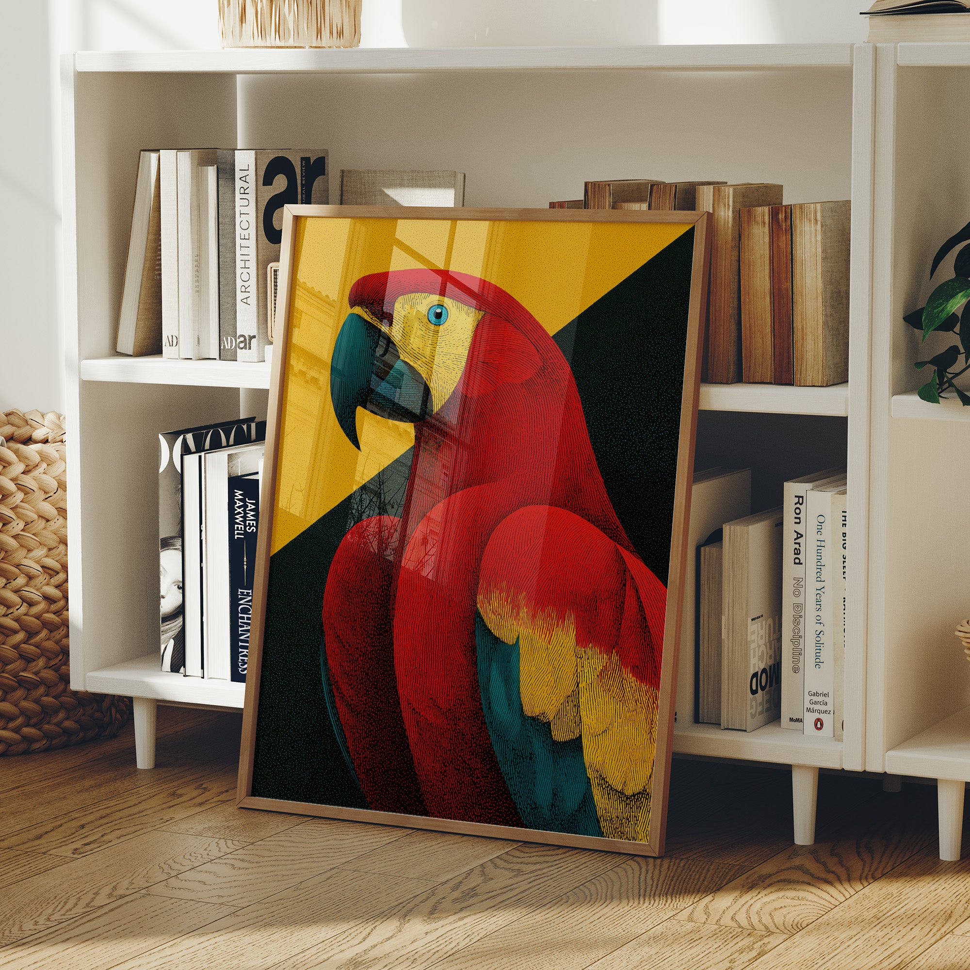 Scarlet Macaw Study