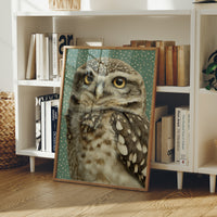 Wide-Eyed Little Owl