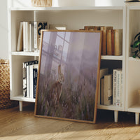 Rabbit in the Lavender
