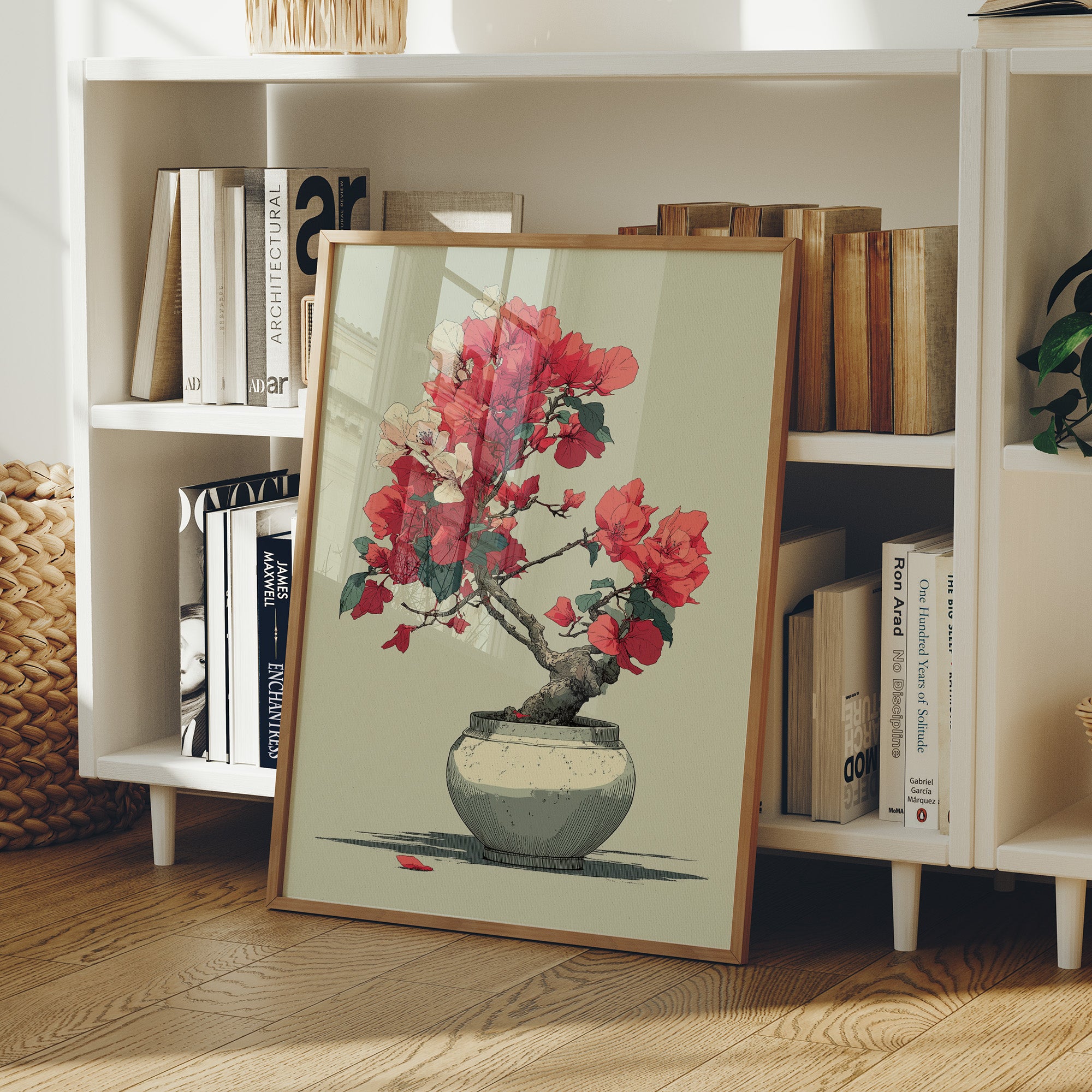Bougainvillea in Bloom