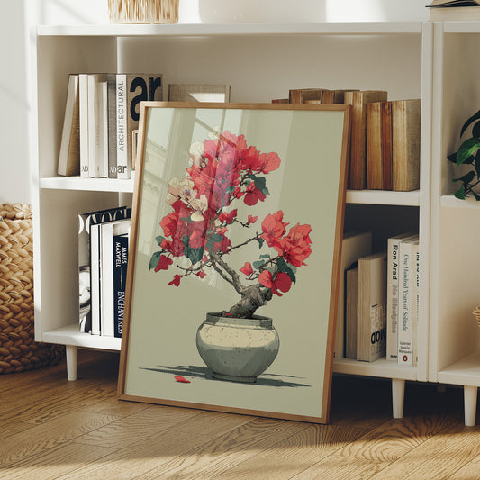 Bougainvillea in Bloom