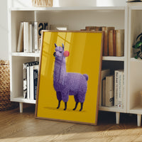 Purple Llama, Pom Pom Attitude