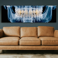 Dental X Ray Close Up