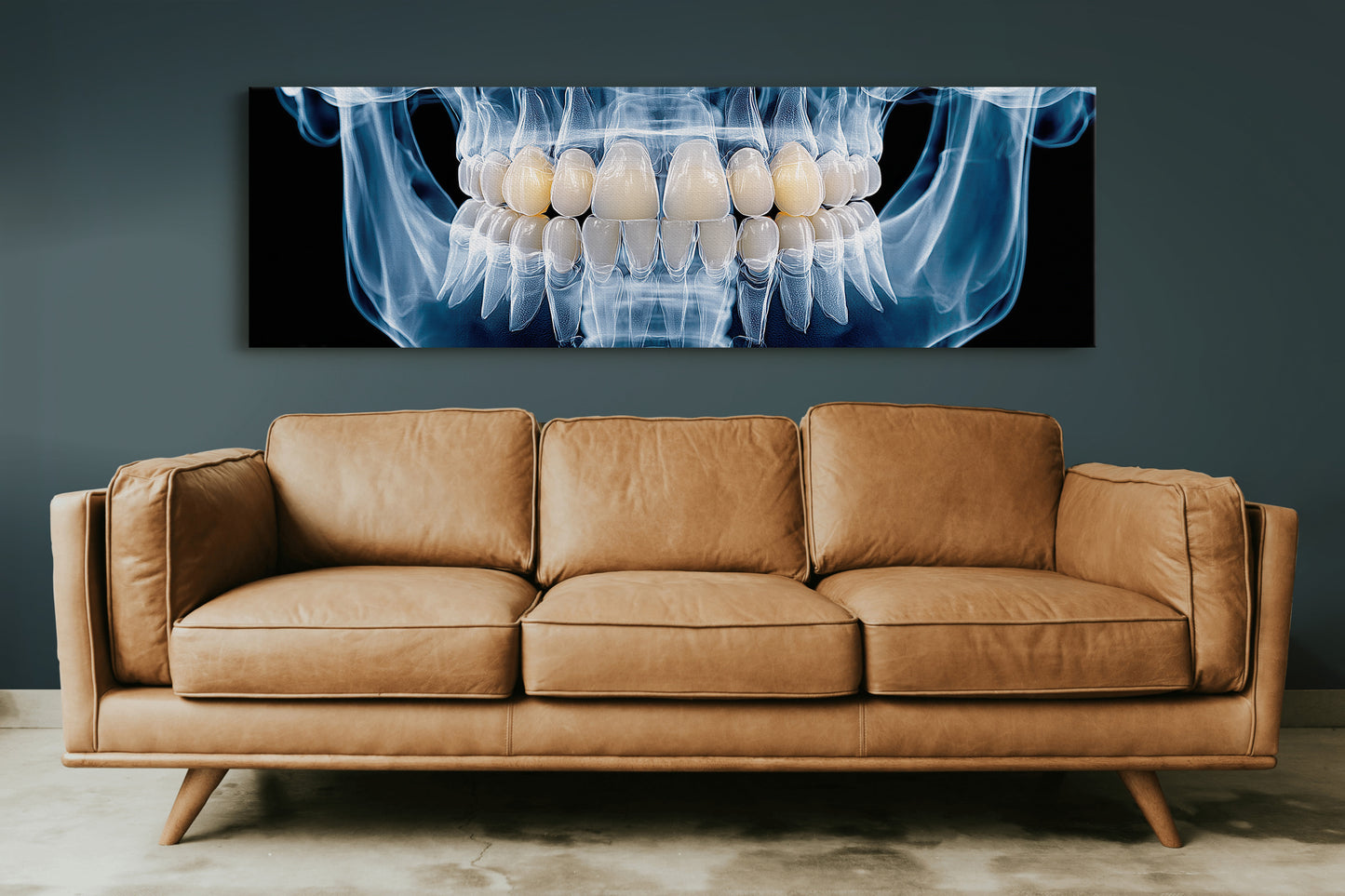 Dental X Ray Close Up