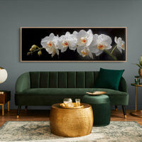 White Orchids In Midnight Bloom