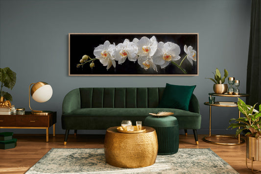 White Orchids In Midnight Bloom